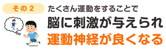 たくさん運動をすることで脳に刺激を与えられ運動神経が良くなる