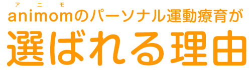 どんなトレーニングをするの？